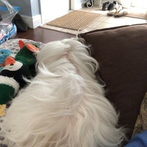 Meet your Posher, Robin